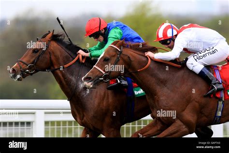 365bet.com au|Horse Racing .